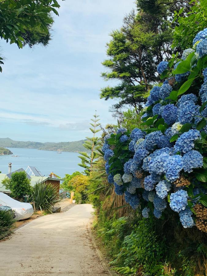 Boho Hill Apartment - Great Barrier Island Escape Okiwi Exteriér fotografie